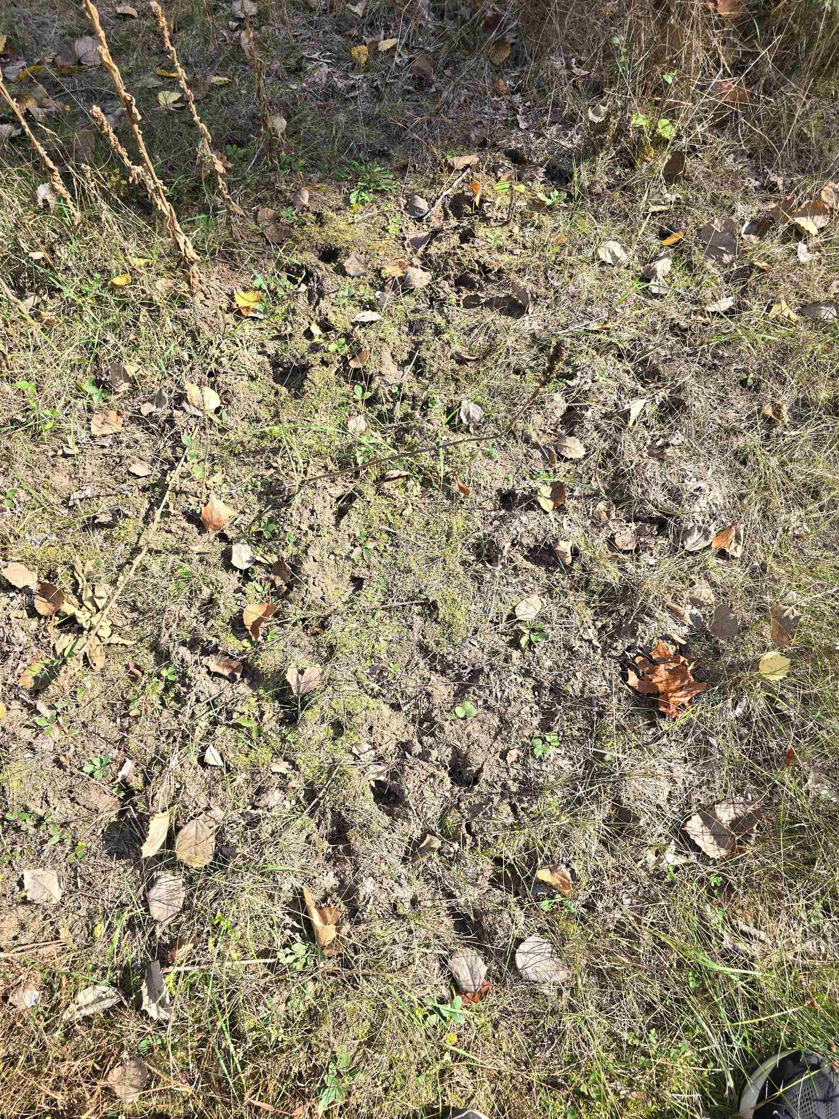 Property photo 38