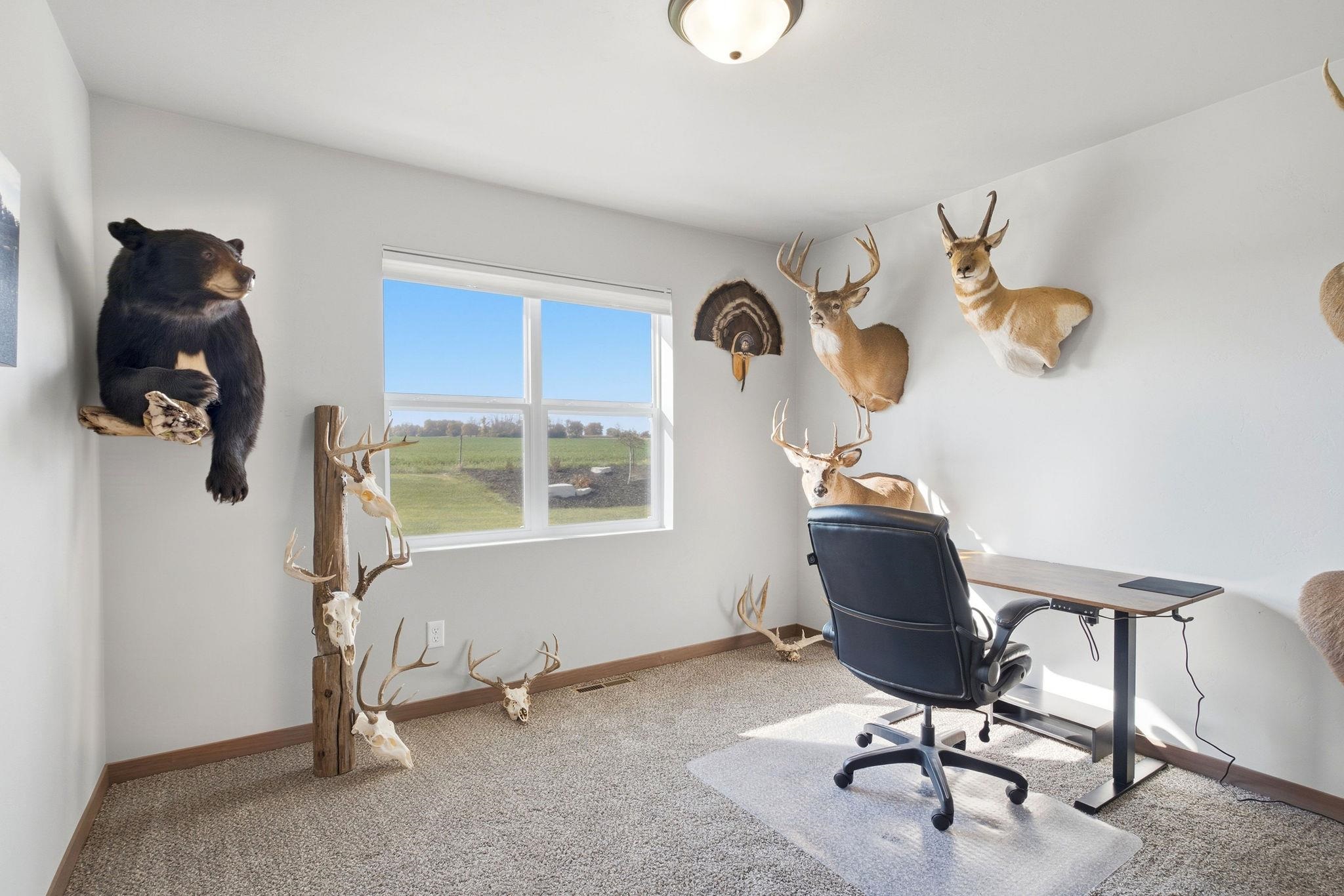 Property photo 36