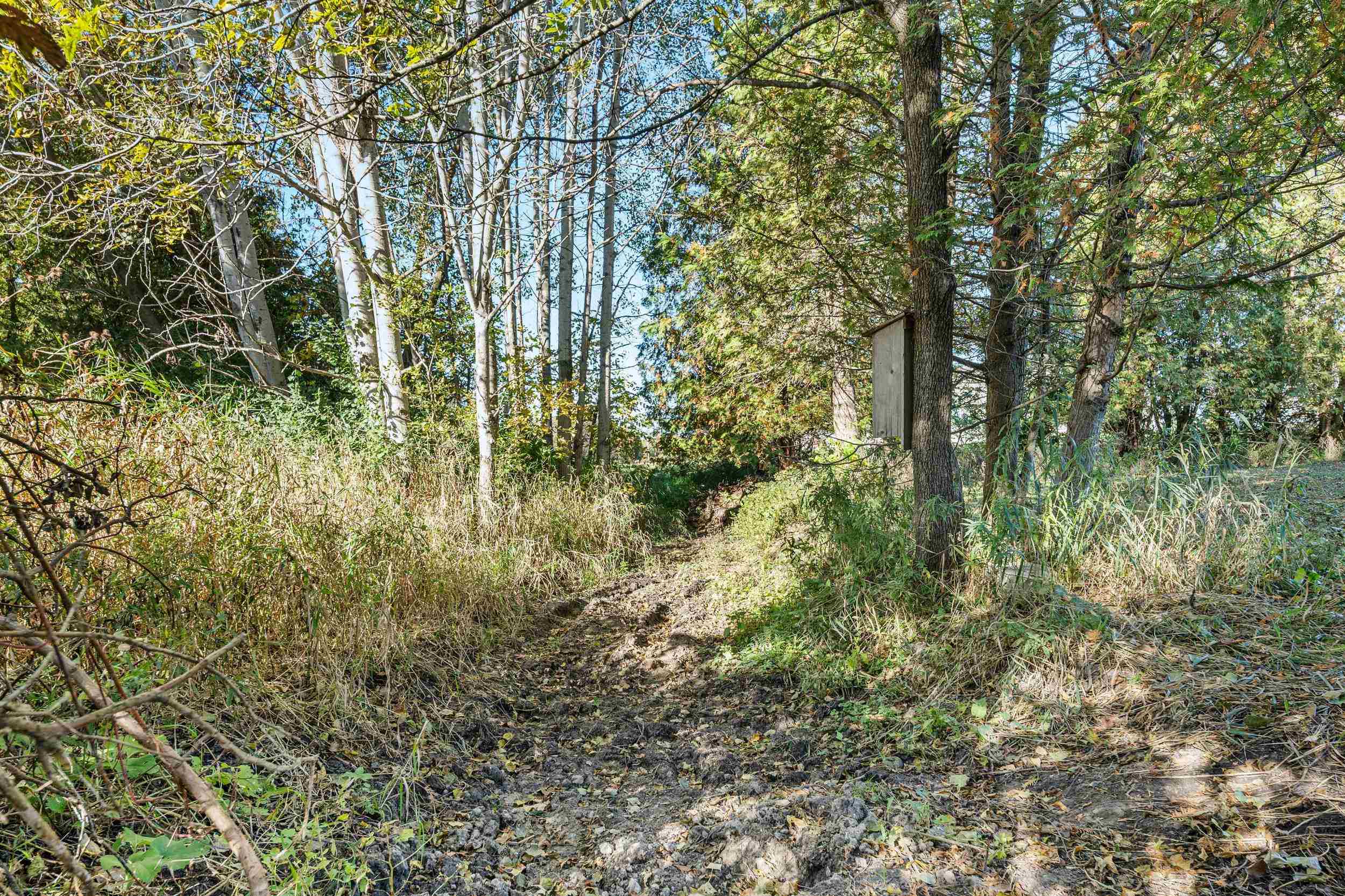 Property photo 31