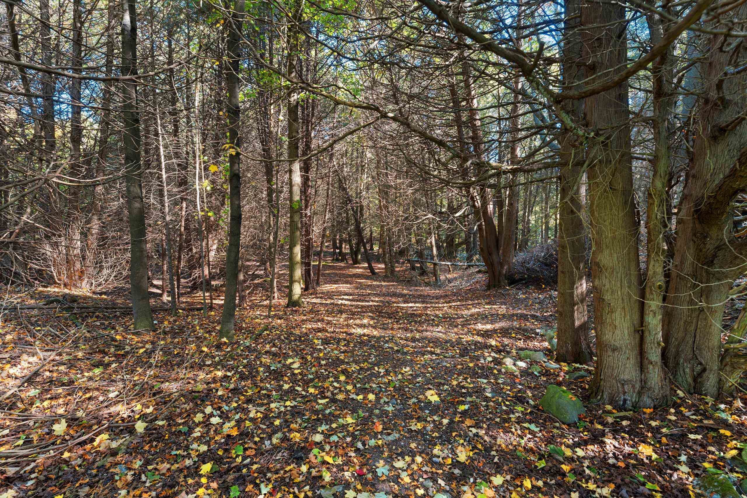 Property photo 46
