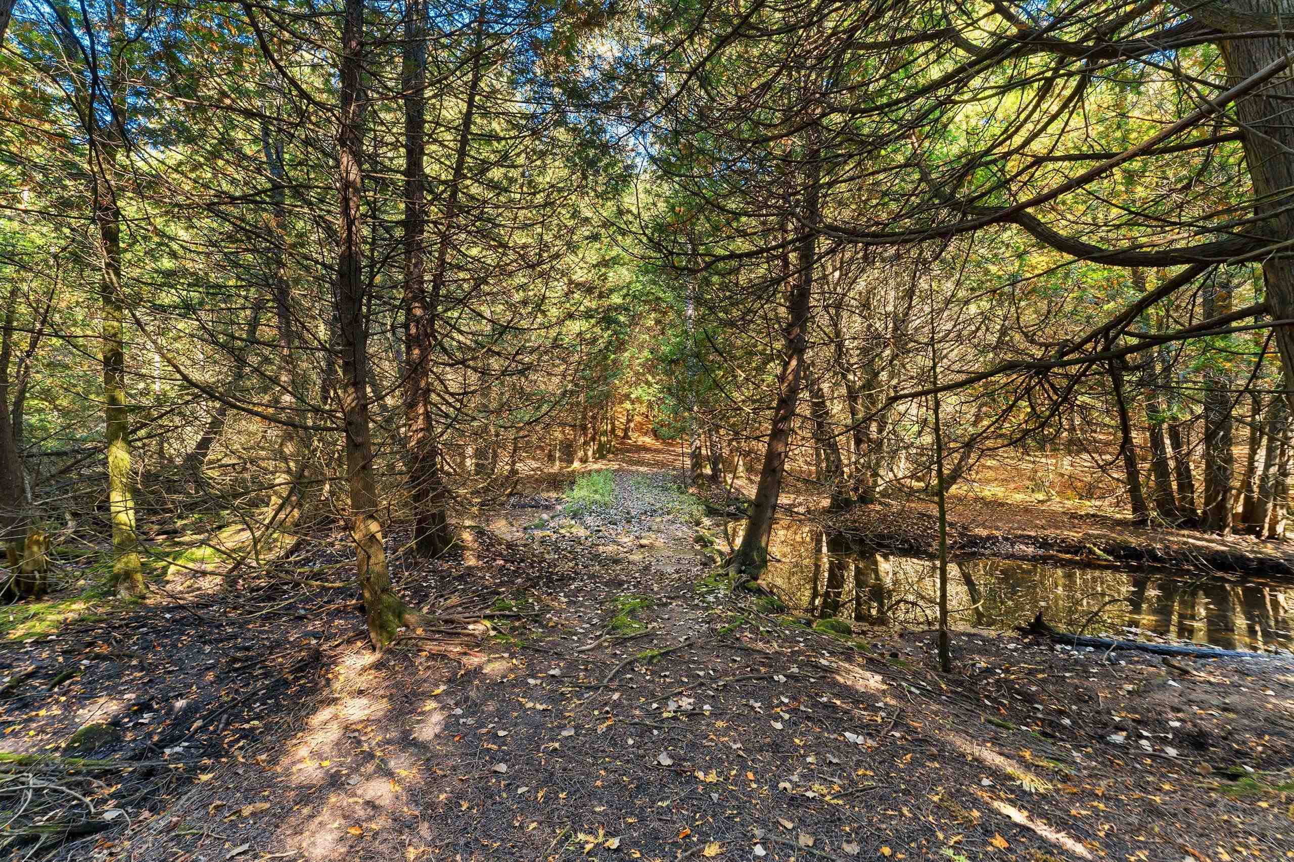 Property photo 47