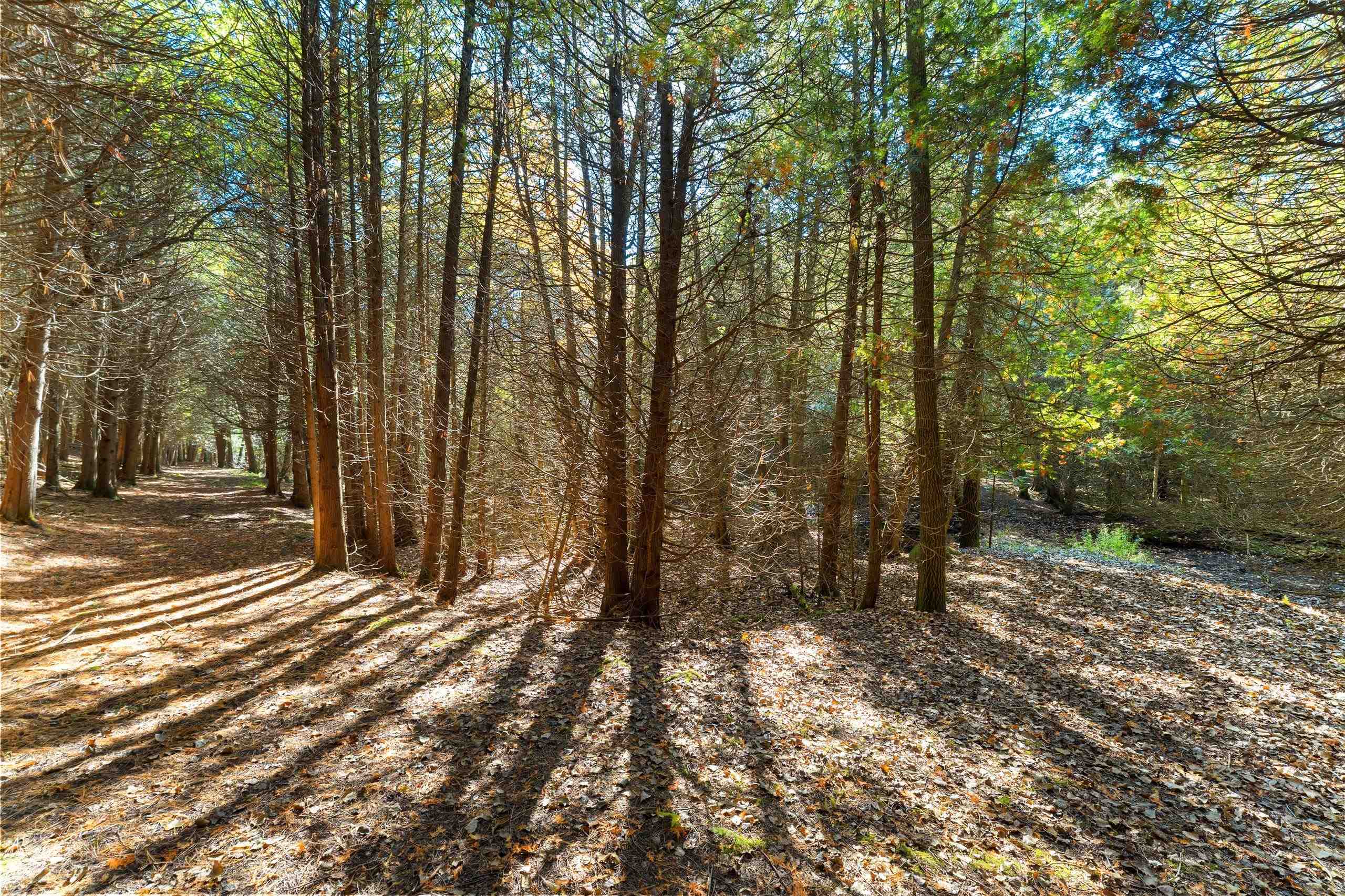 Property photo 48