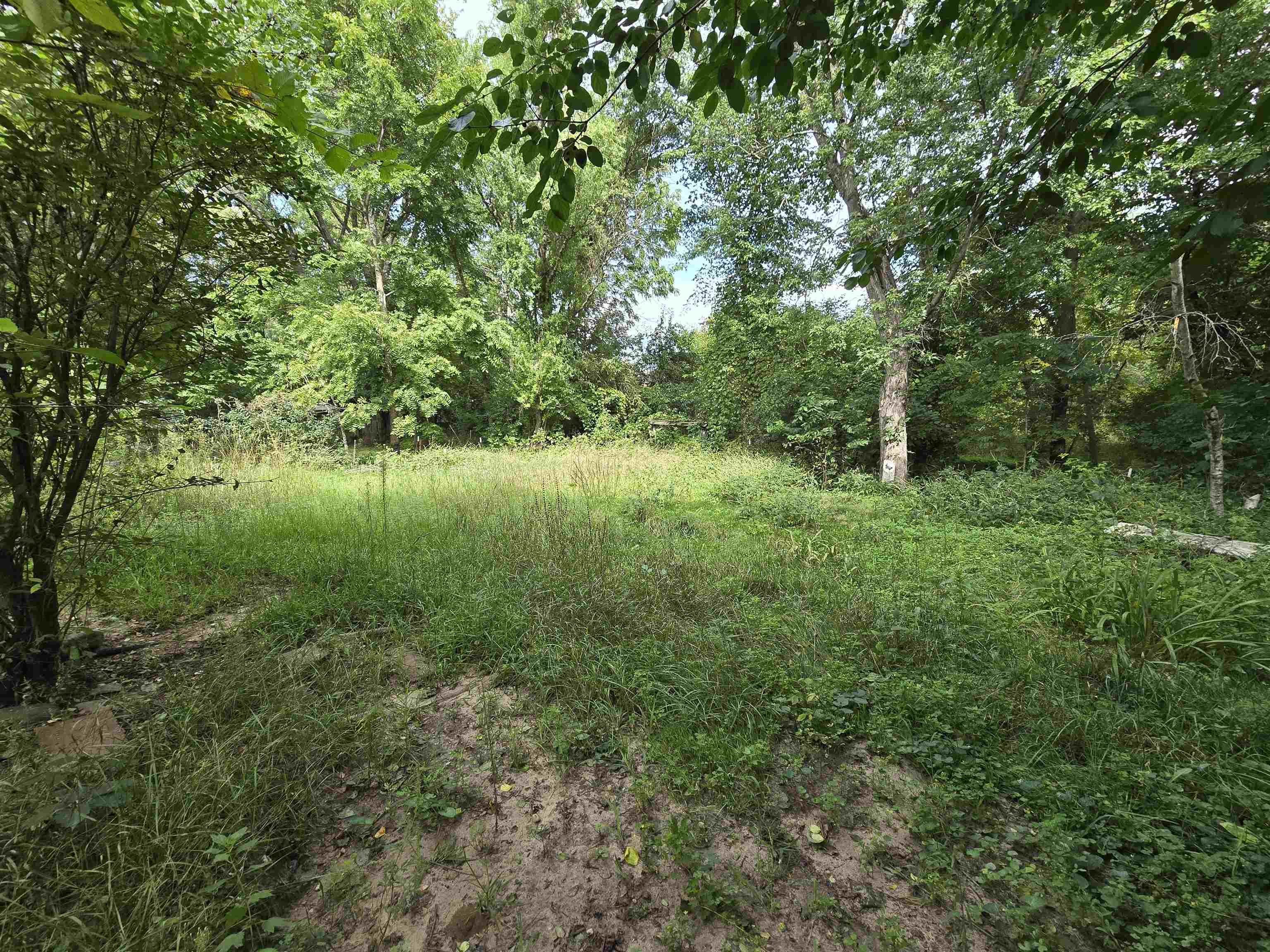 Property photo 31