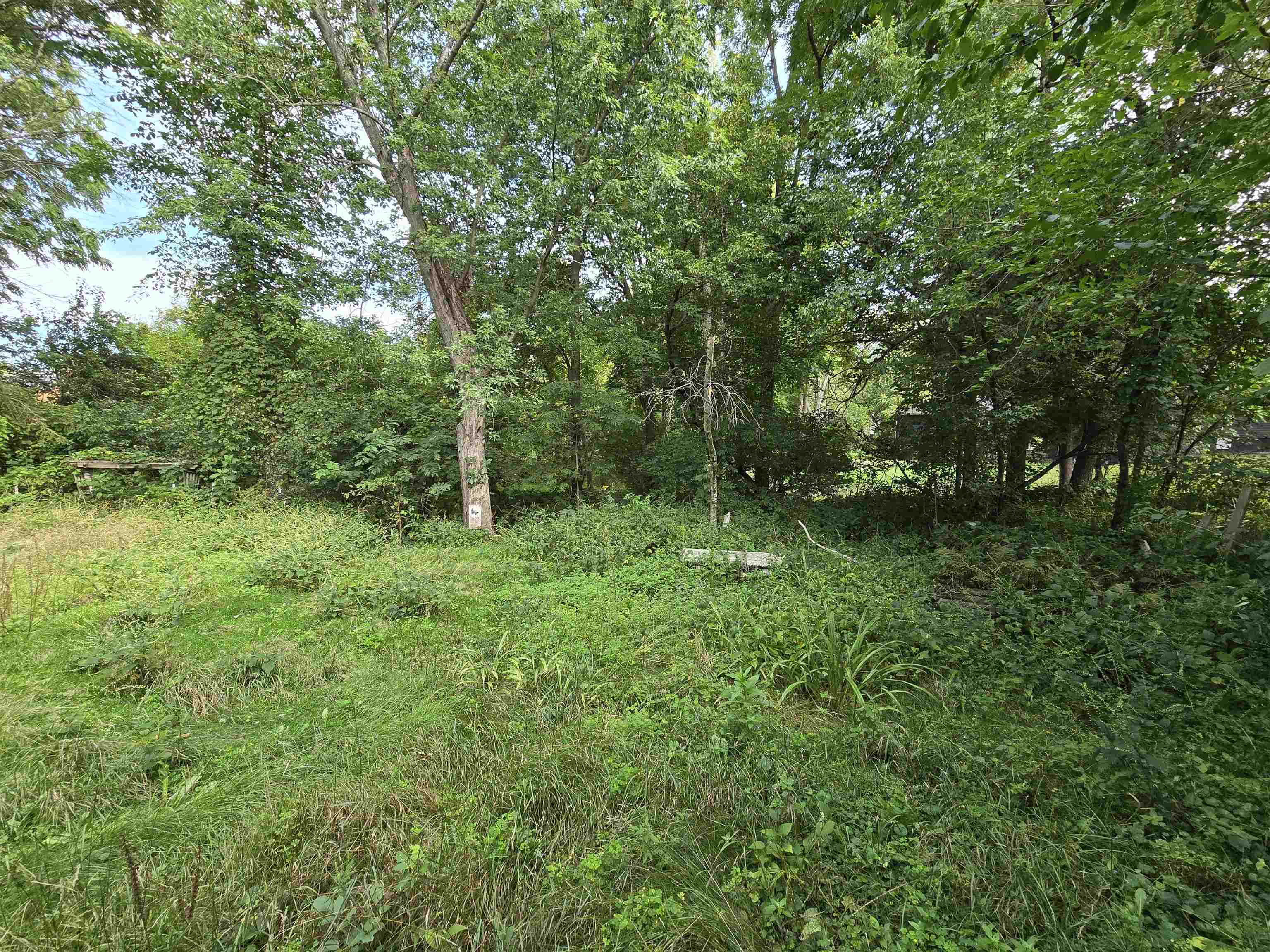 Property photo 32