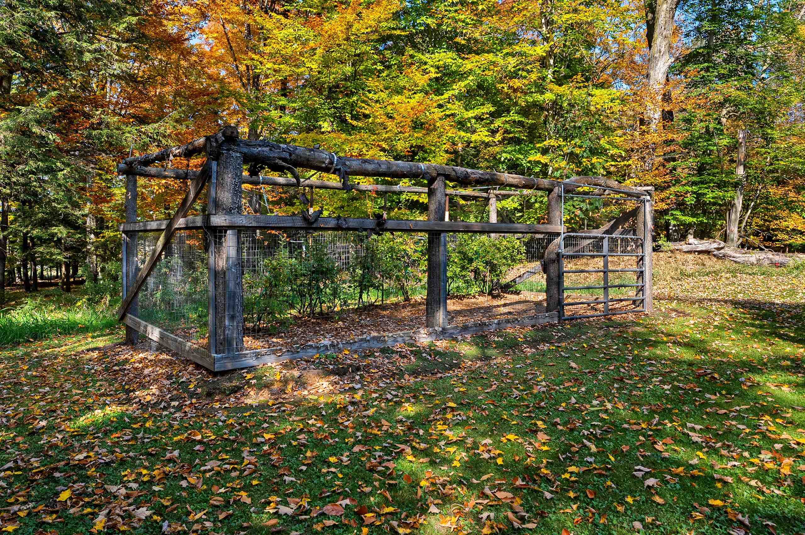 Property photo 69