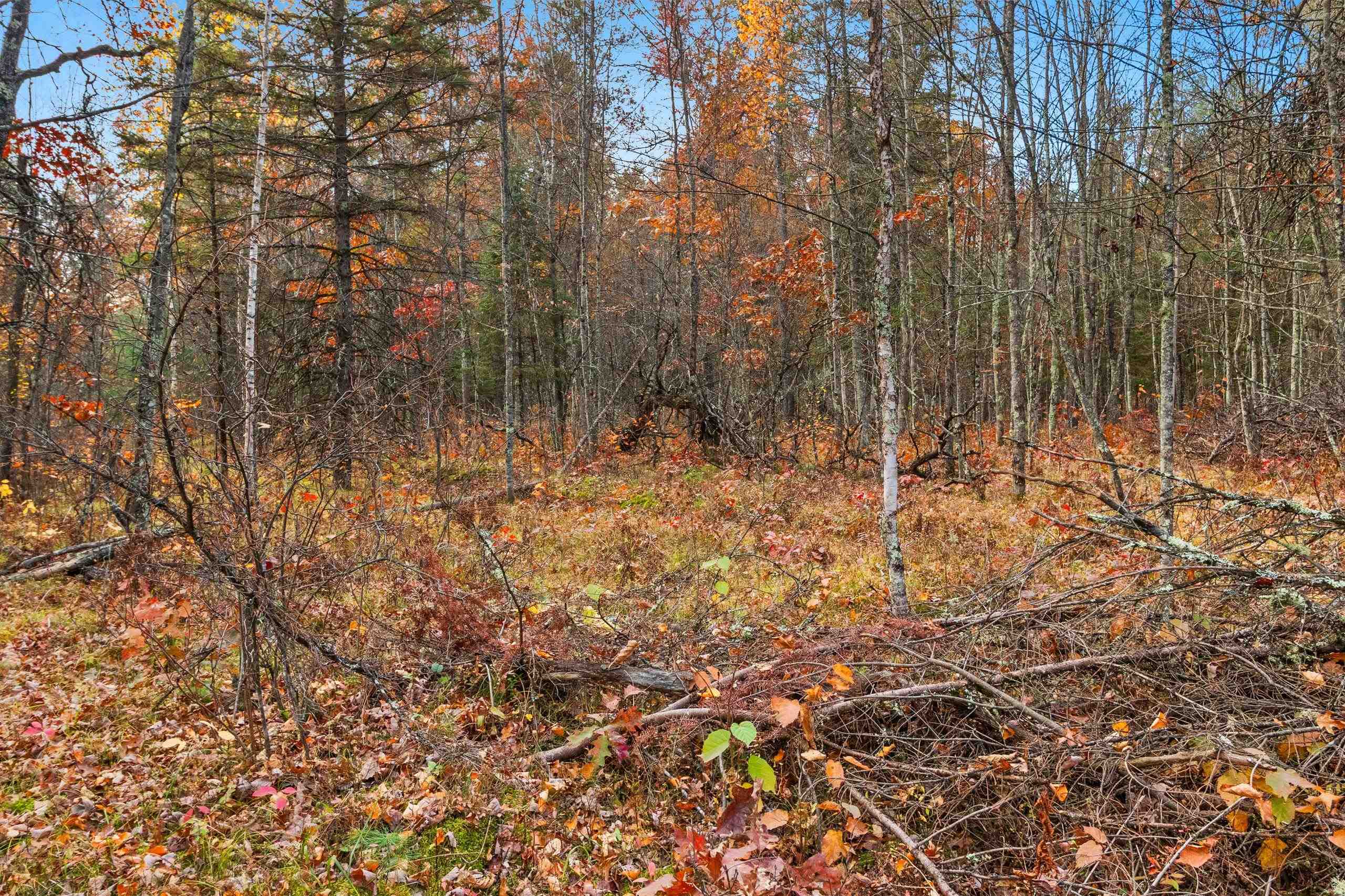 Property photo 49