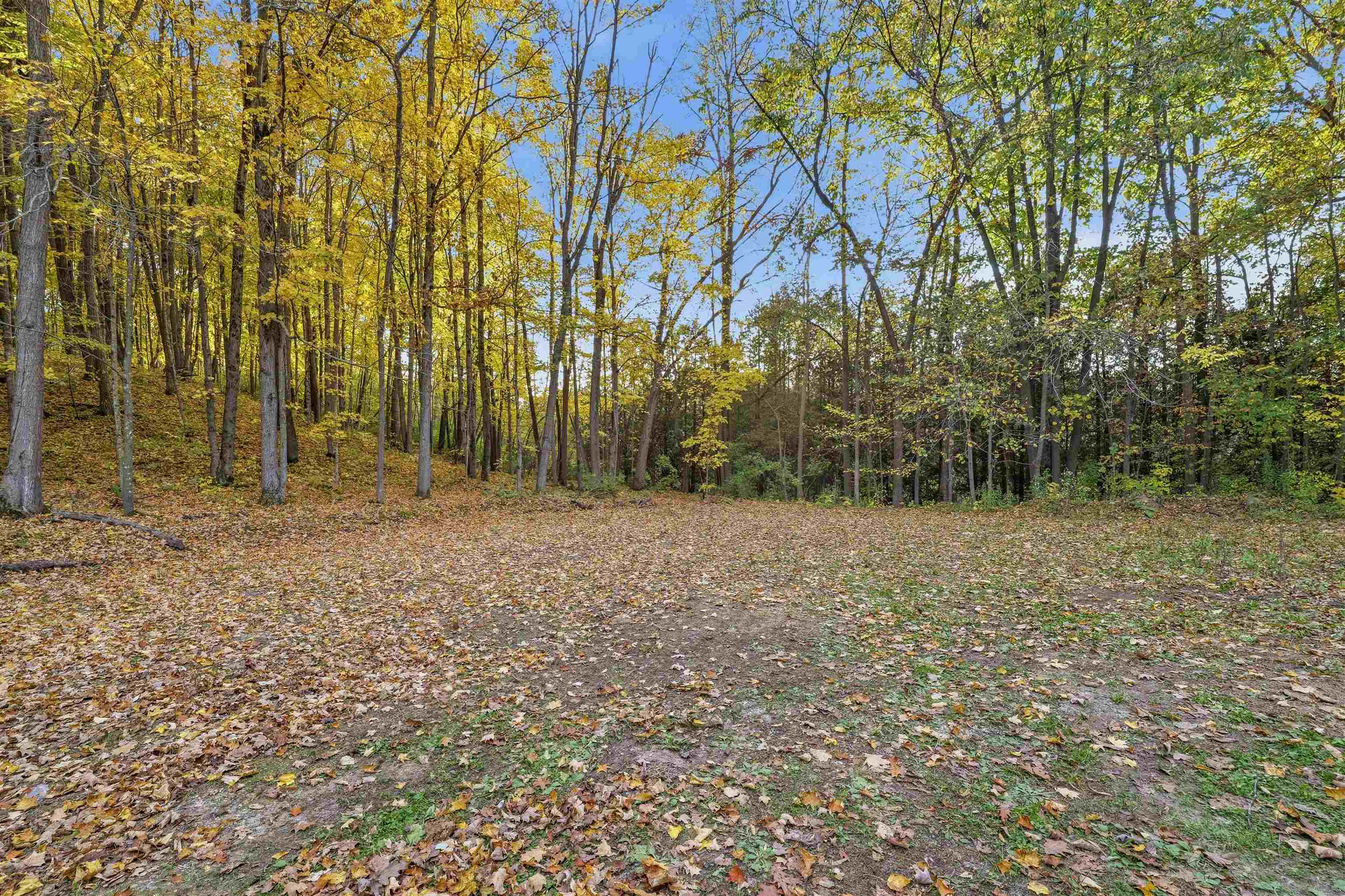 Property photo 39