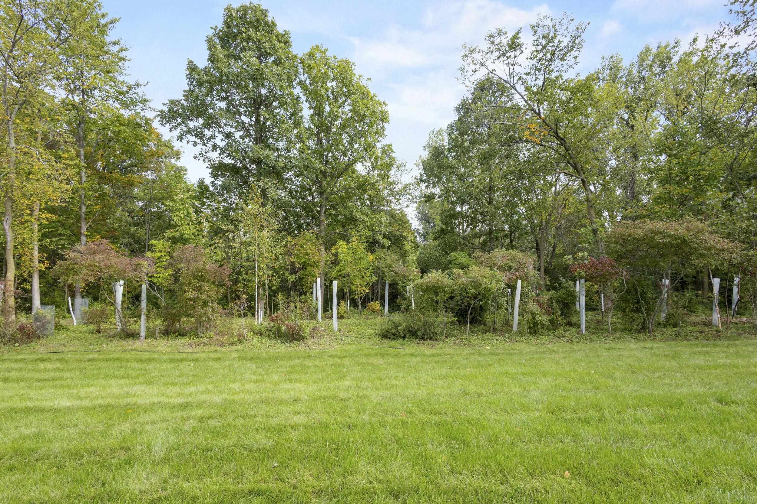 Property photo 69