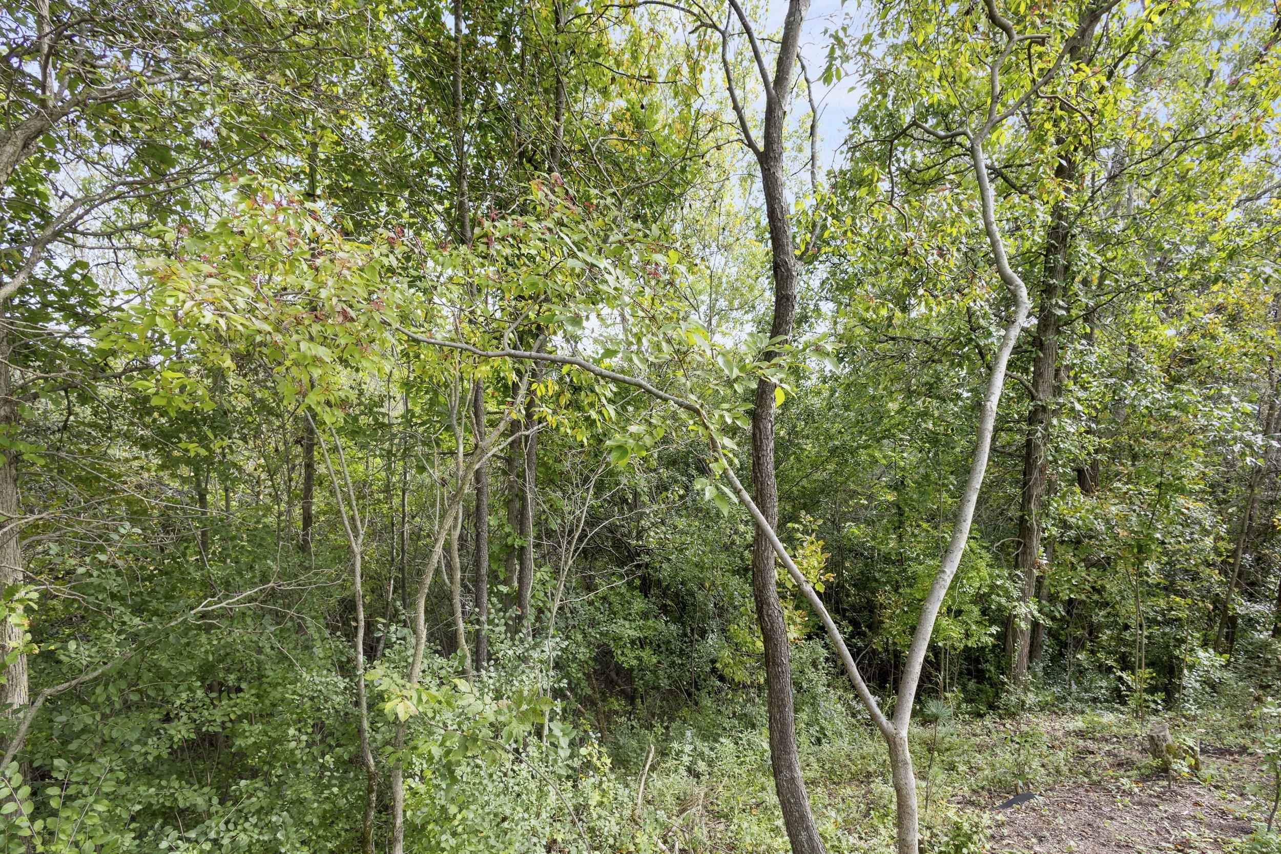 Property photo 70