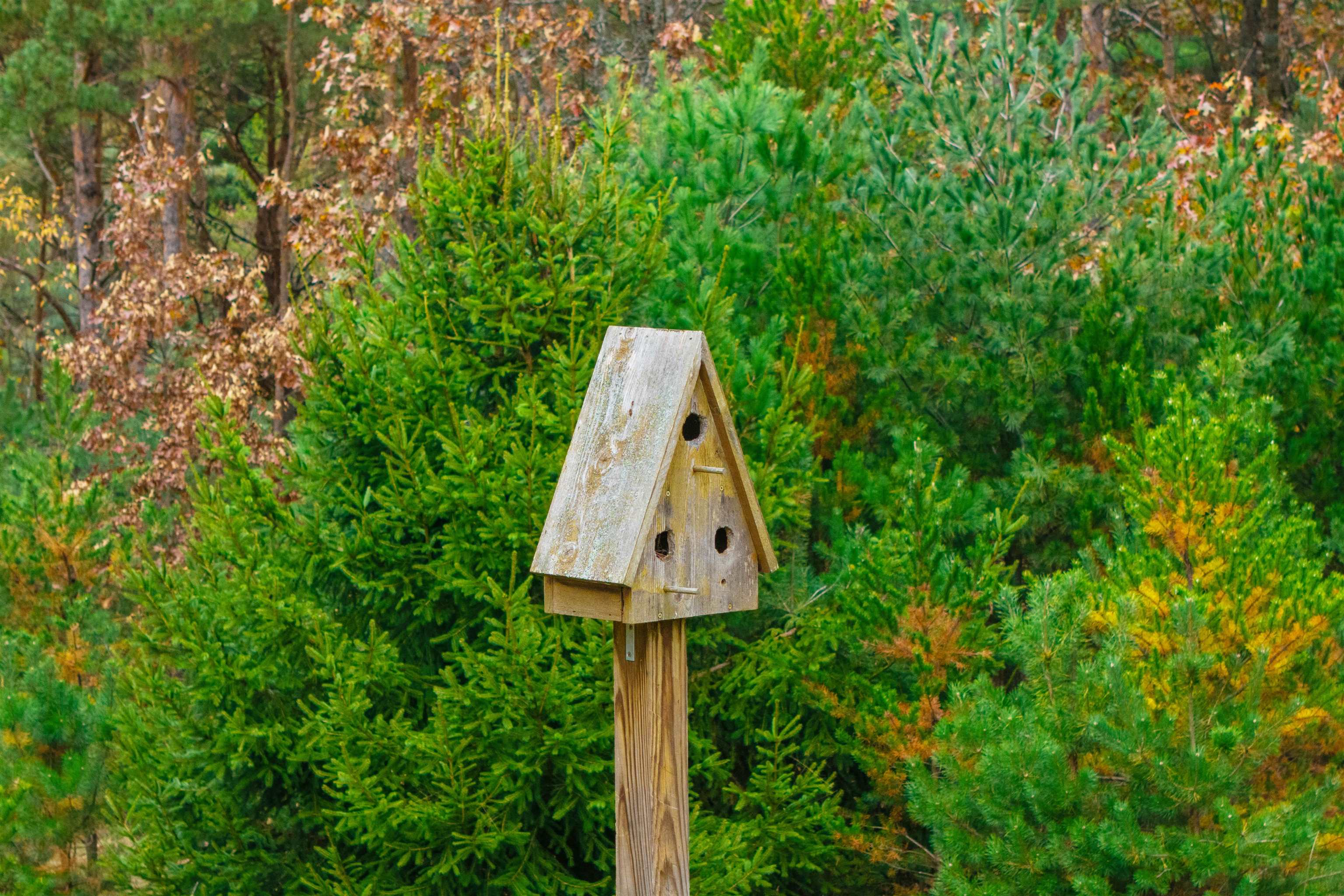 Property photo 45