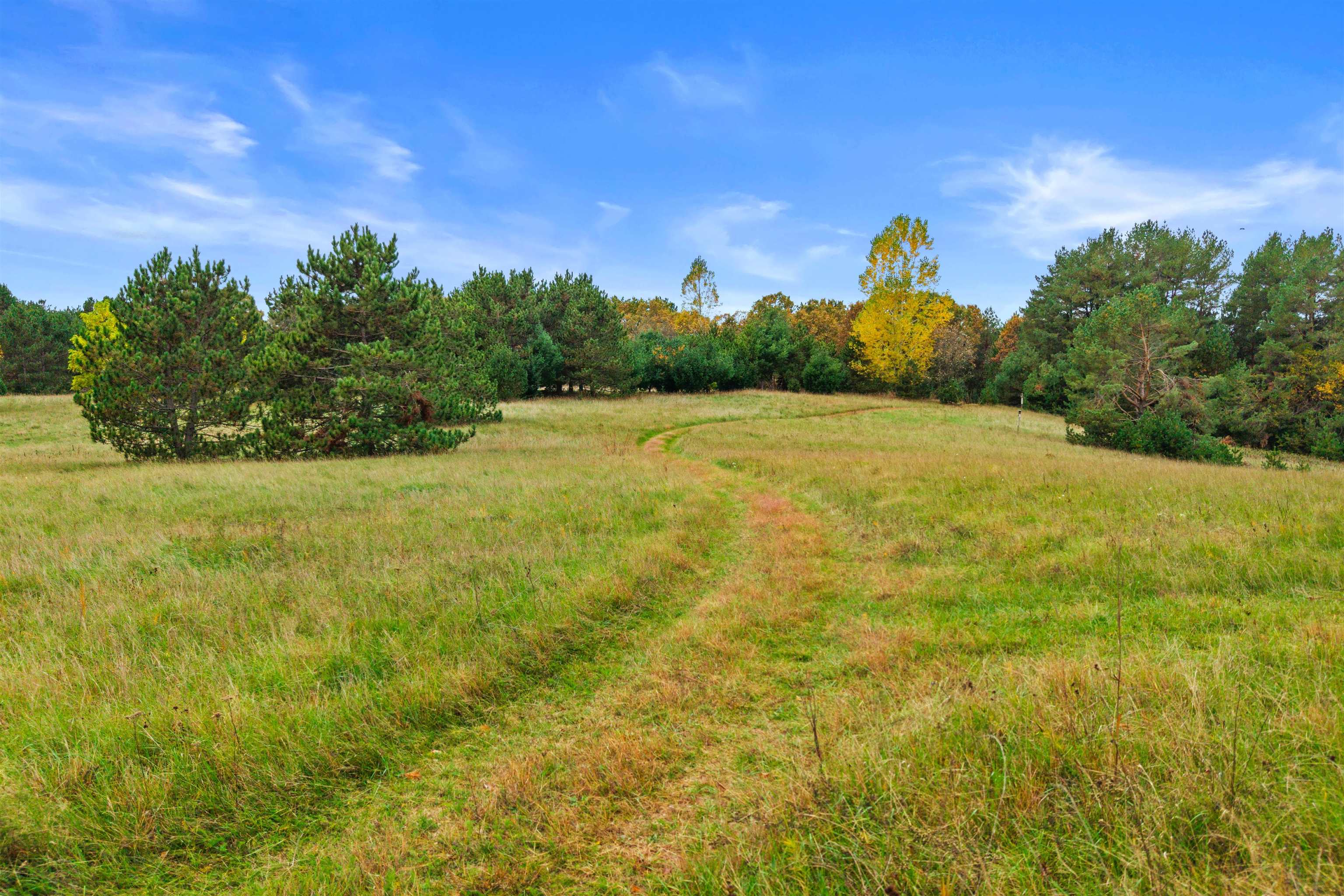 Property photo 47