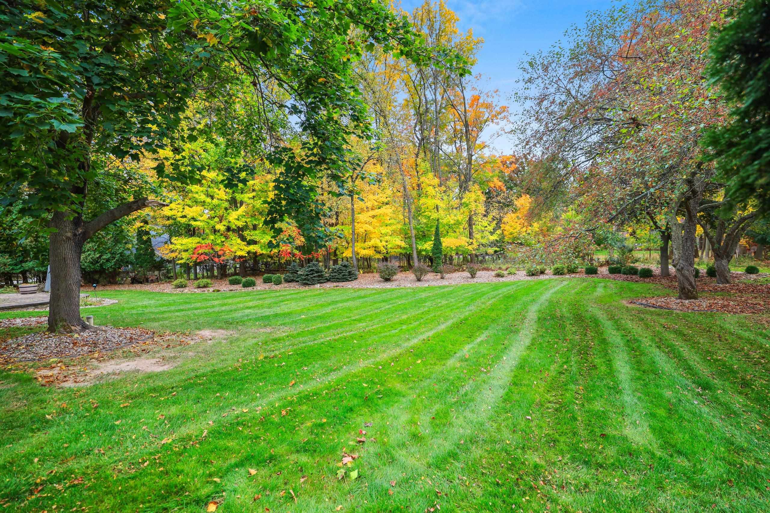 Property photo 65