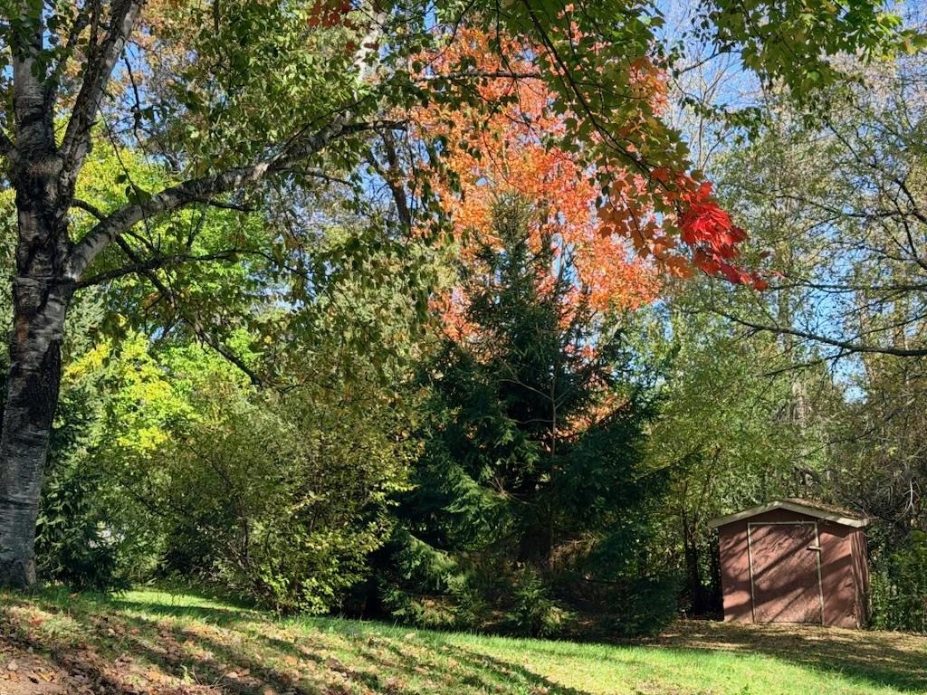 Property photo 38