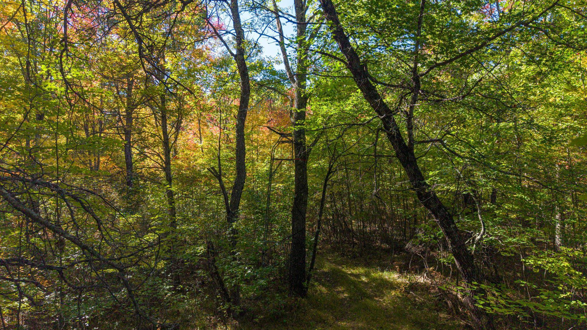 Property photo 26