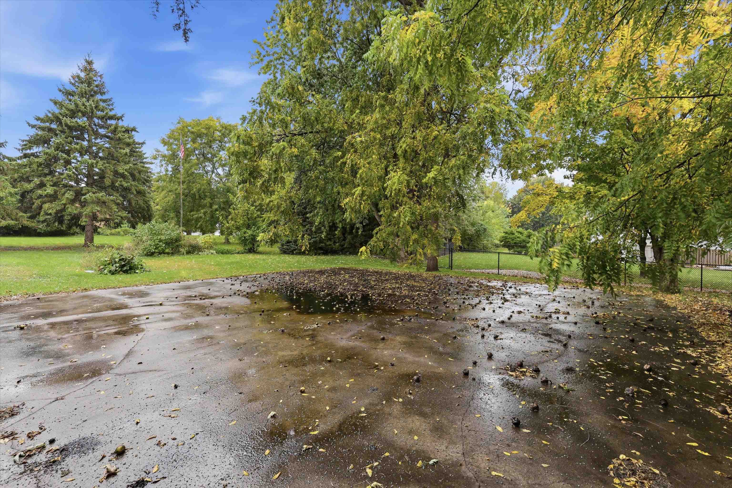 Property photo 39