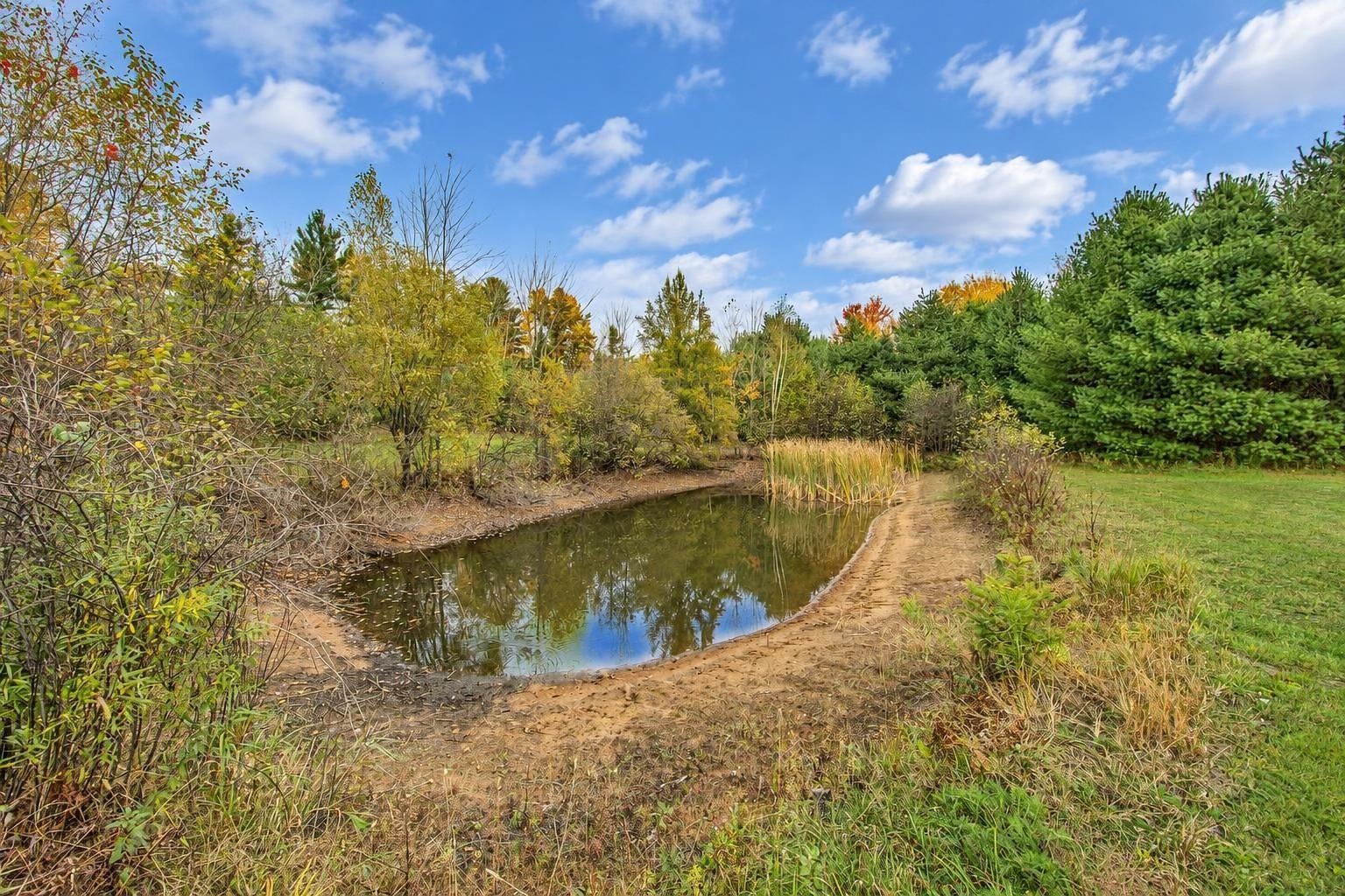 Property photo 46
