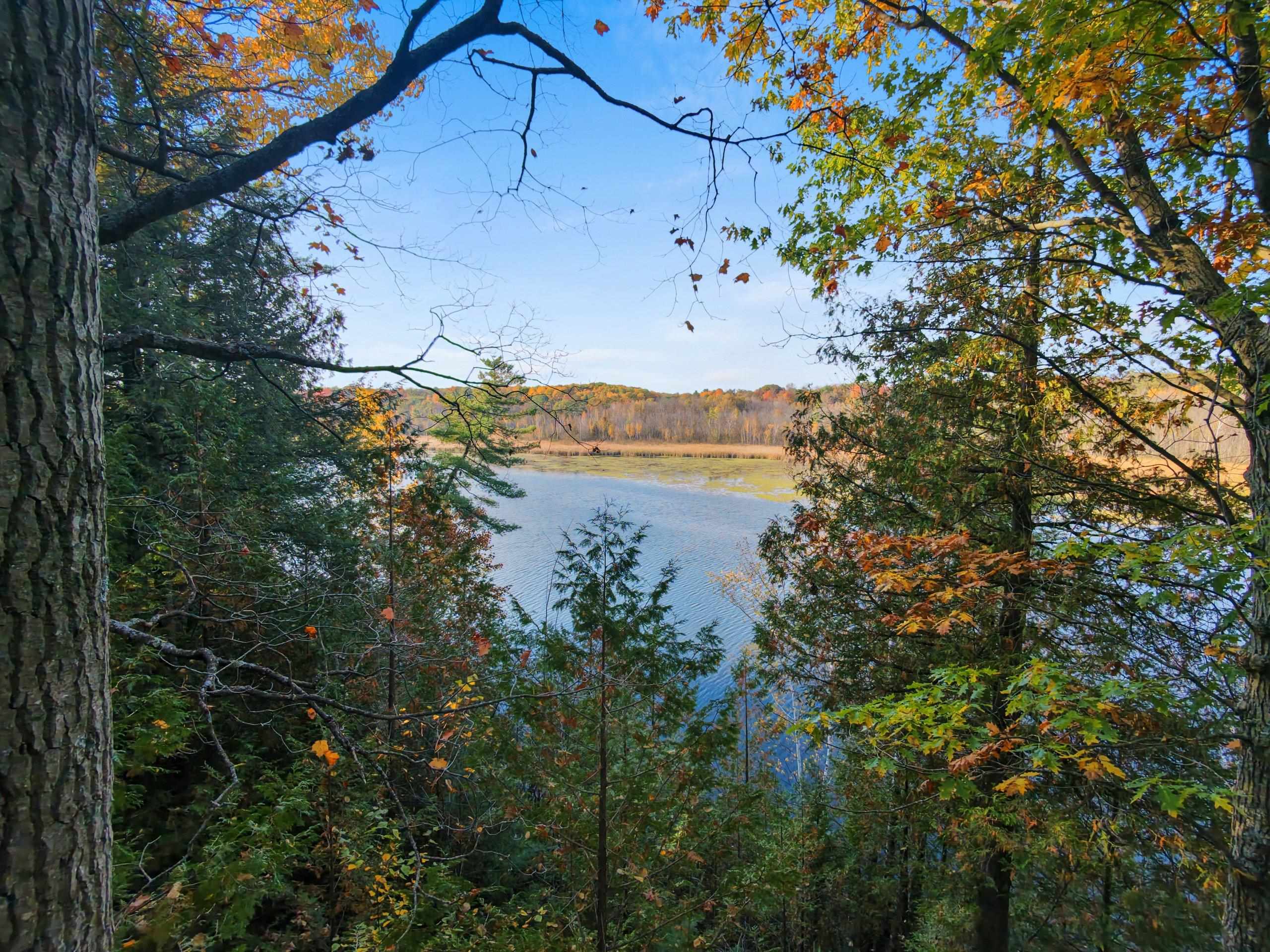 Property photo 68