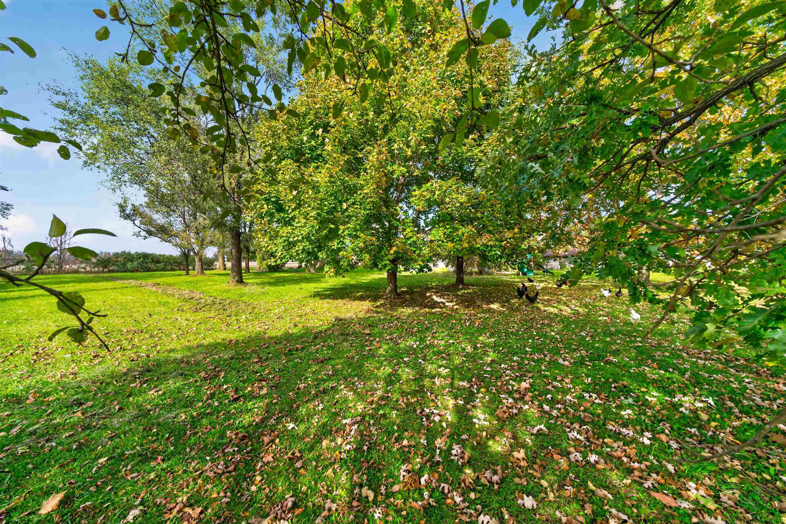 Property photo 39