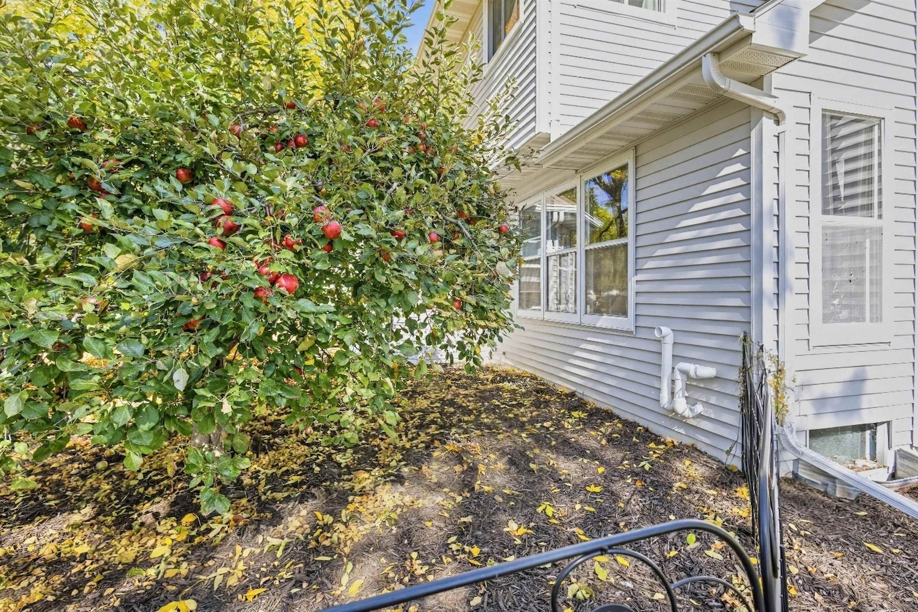 Property photo 29