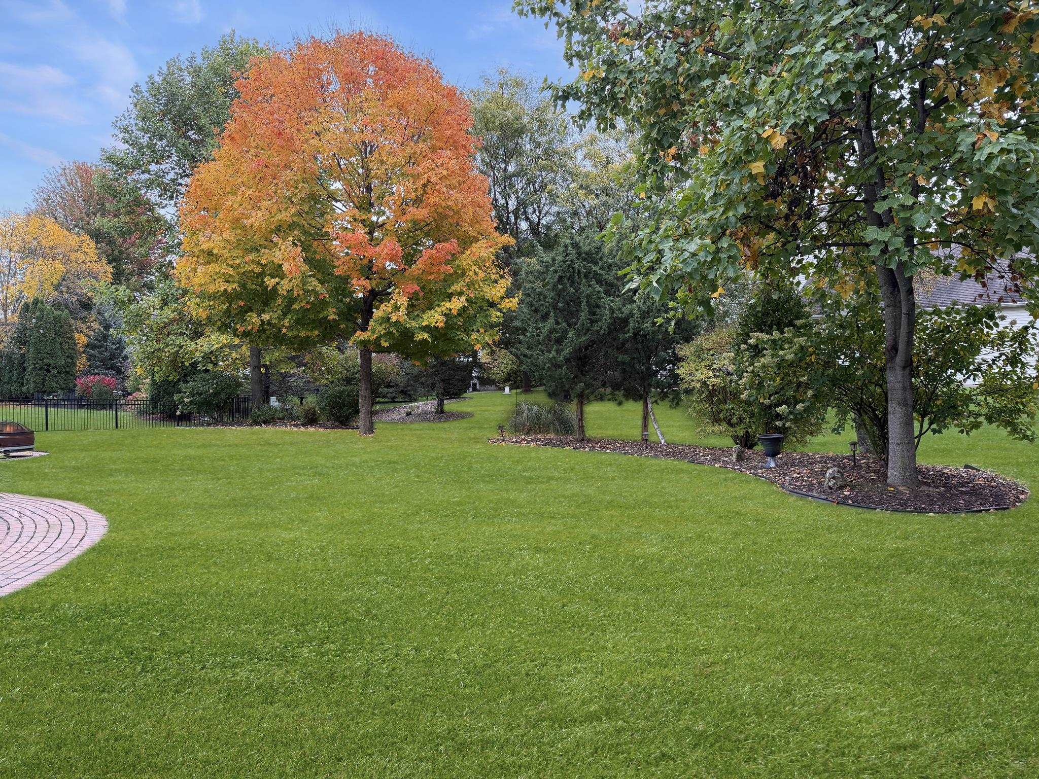 Property photo 43