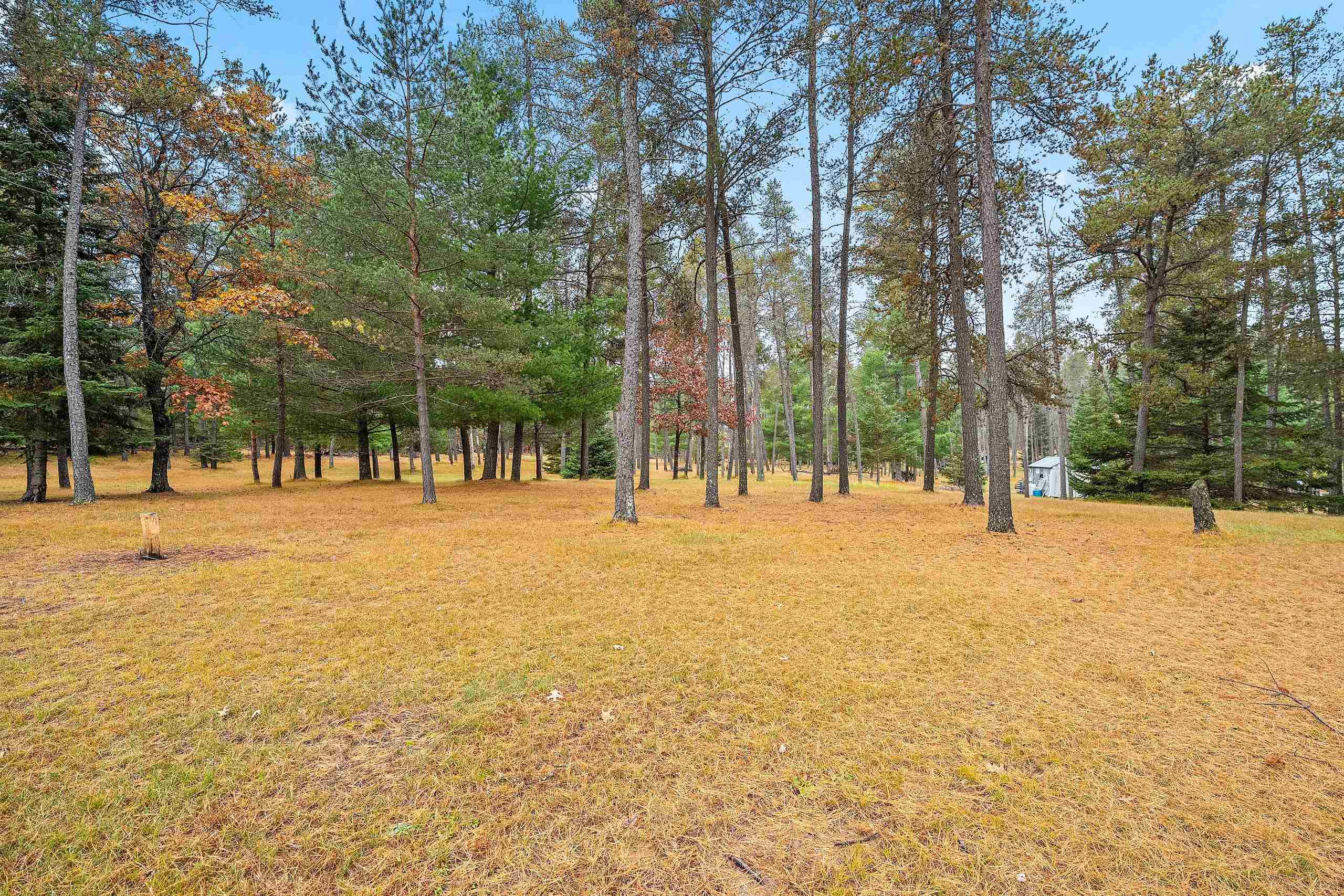 Property photo 79
