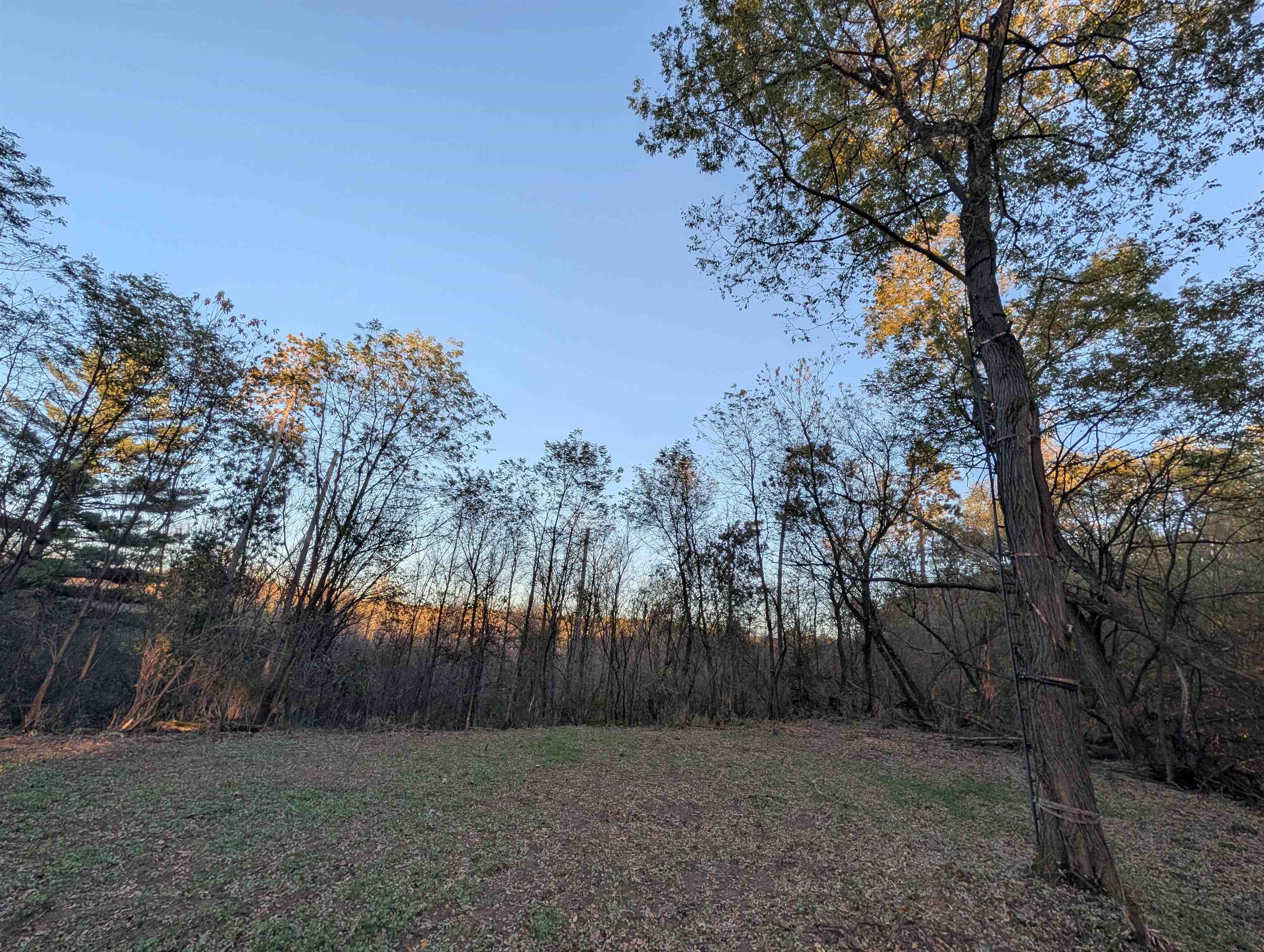Property photo 18