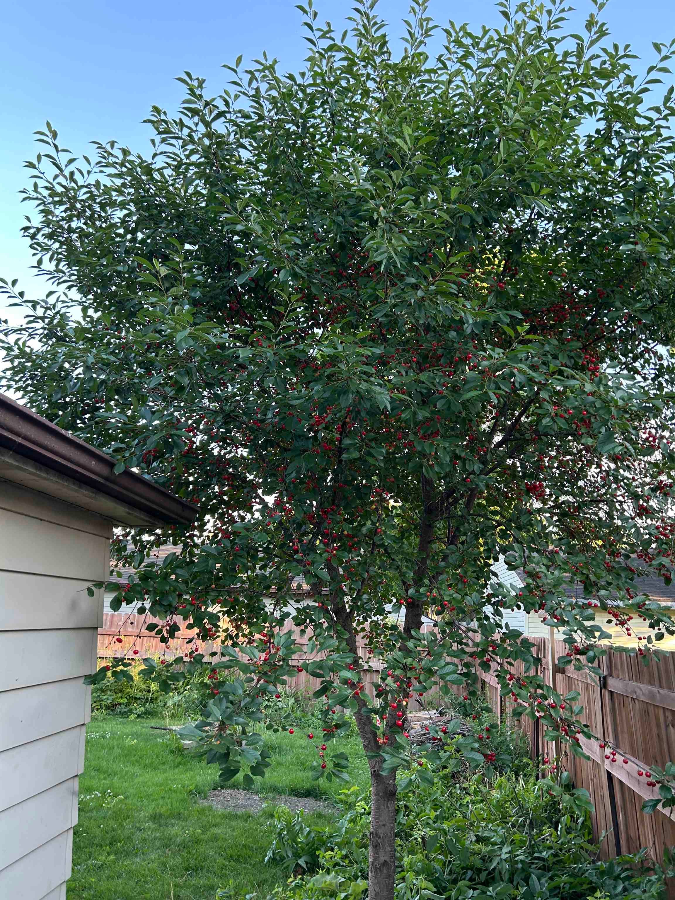 Property photo 7