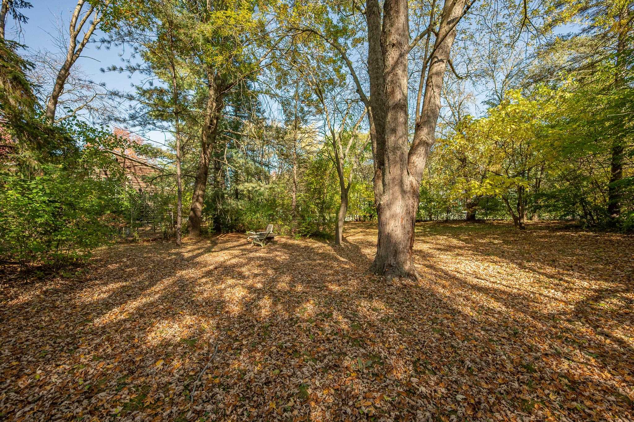 Property photo 59