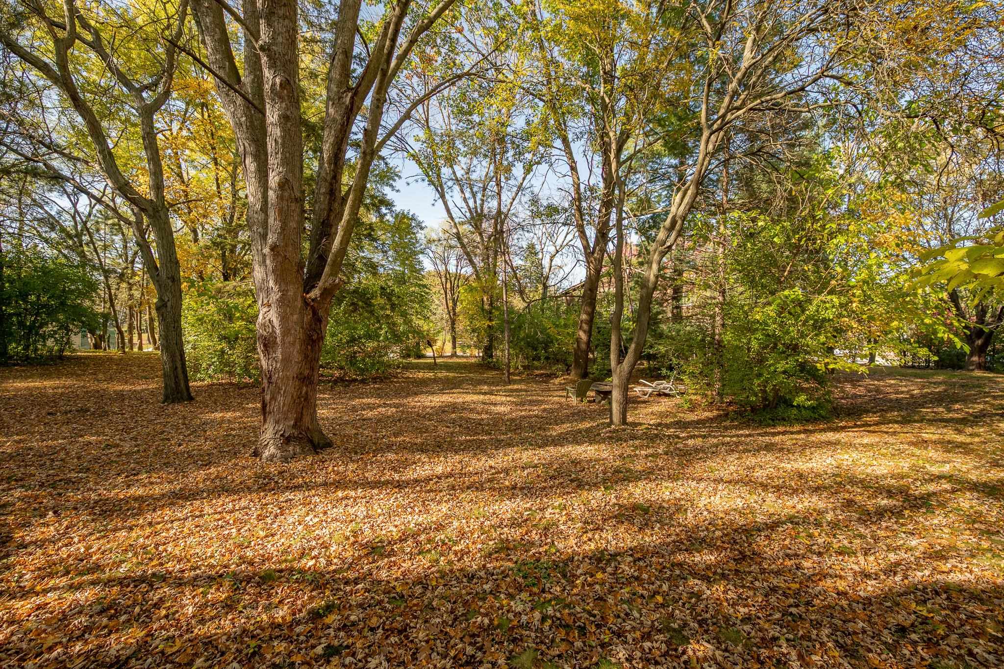 Property photo 60