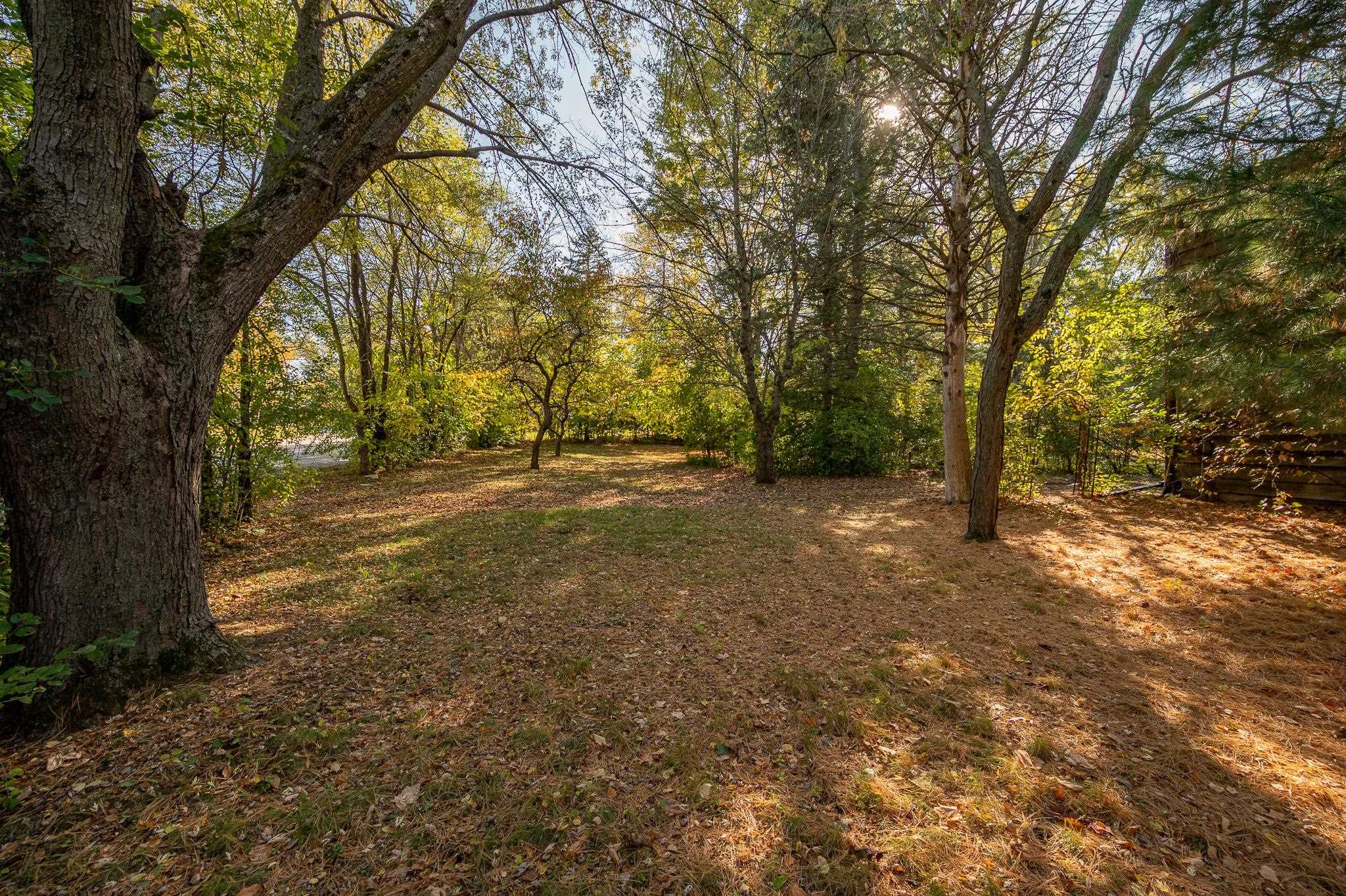 Property photo 61