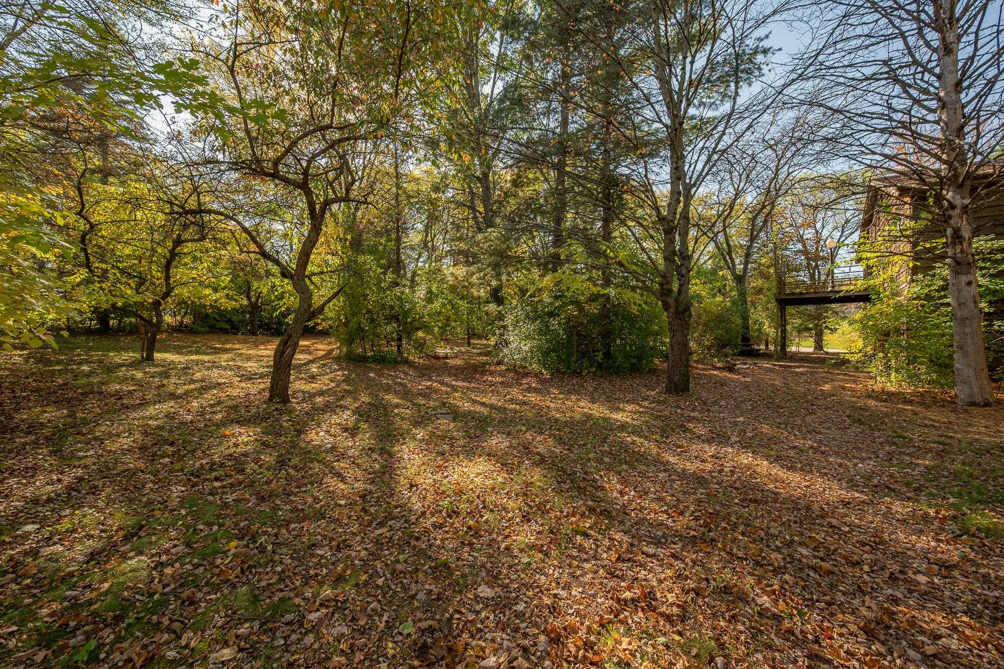 Property photo 62