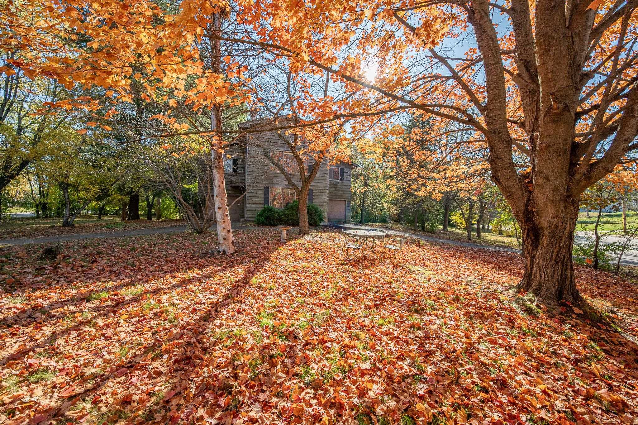 Property photo 69