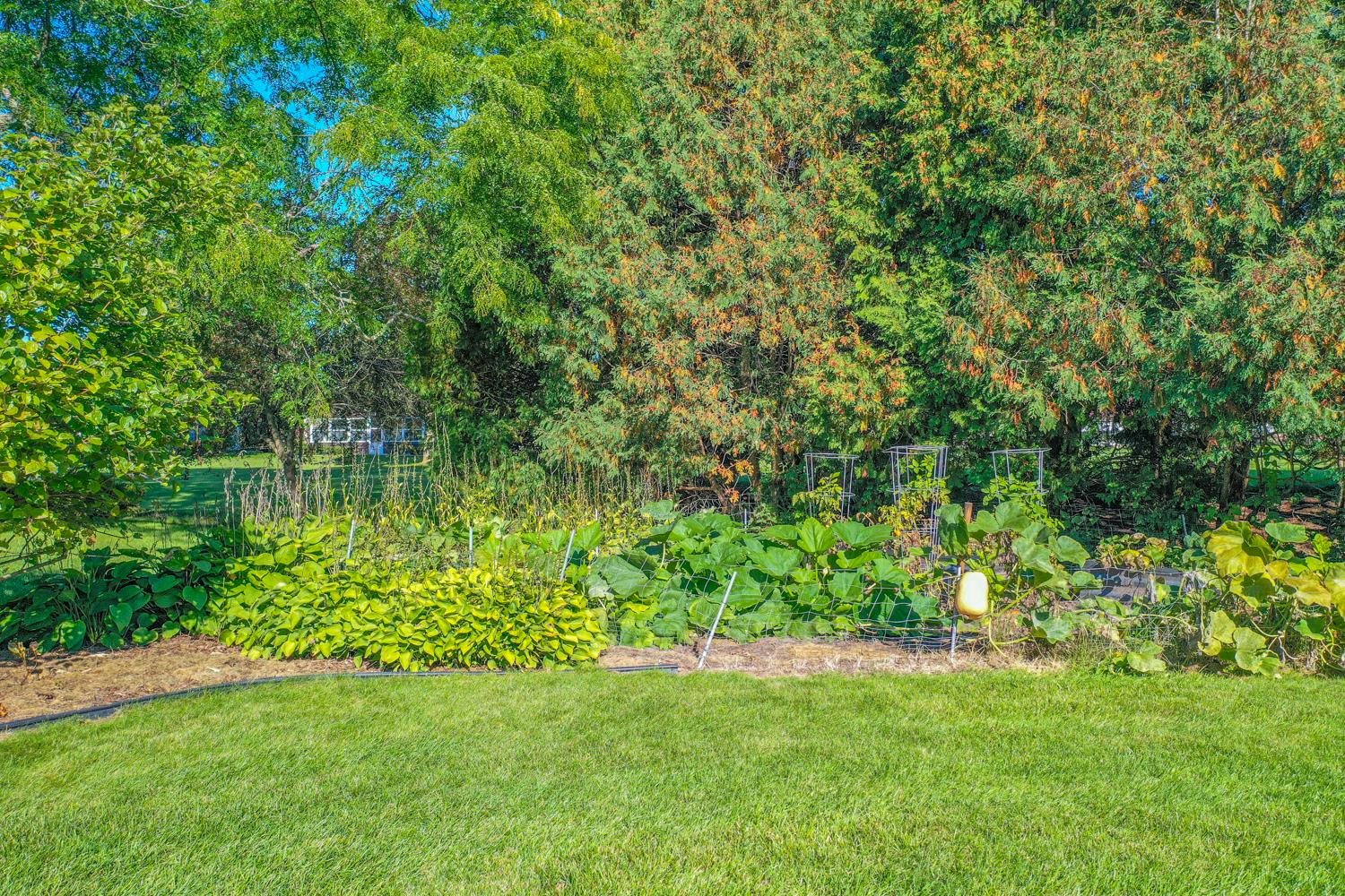 Property photo 52