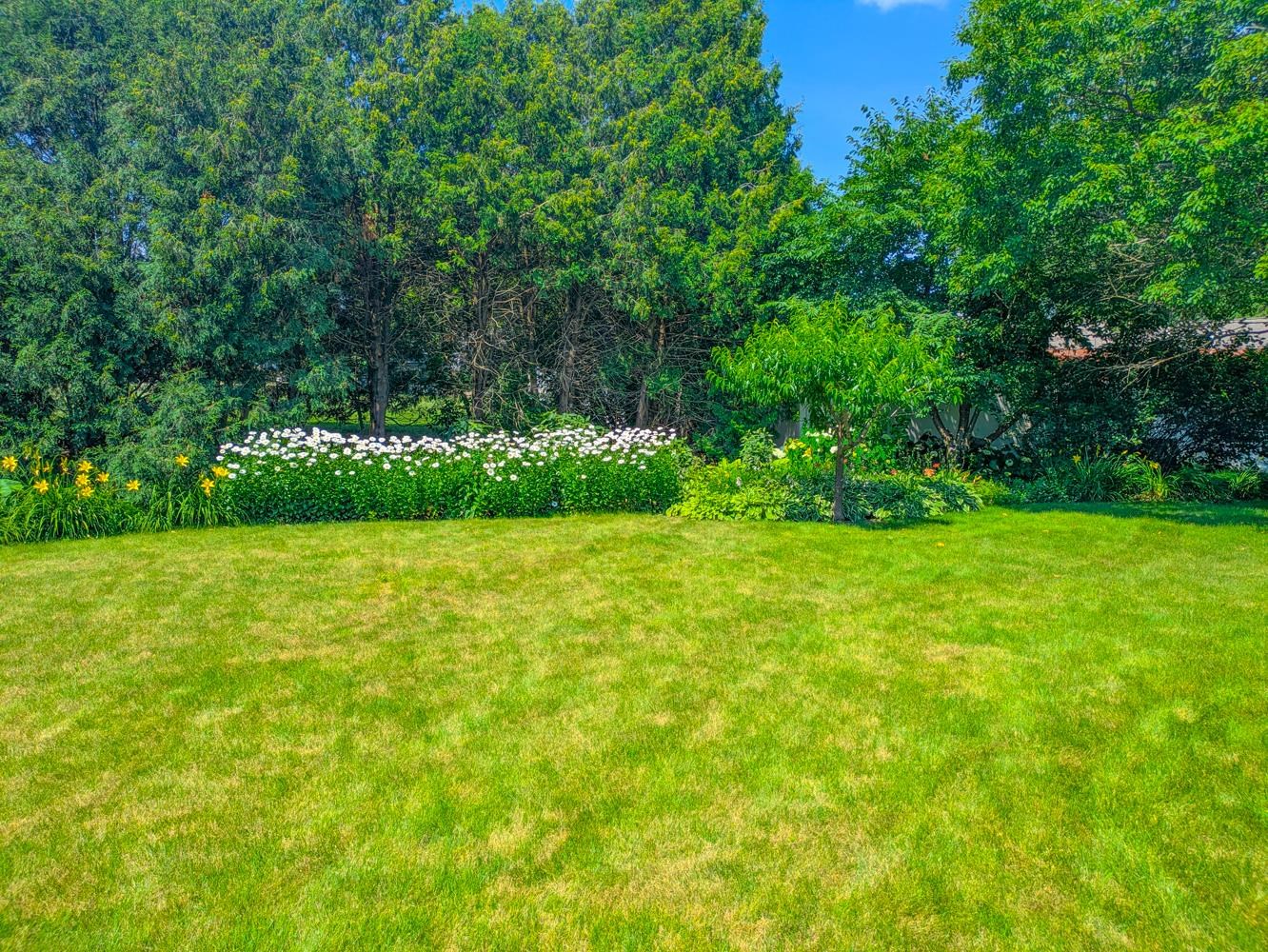 Property photo 53