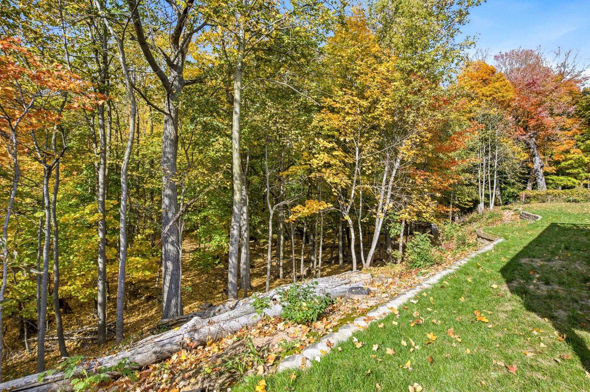 Property photo 69