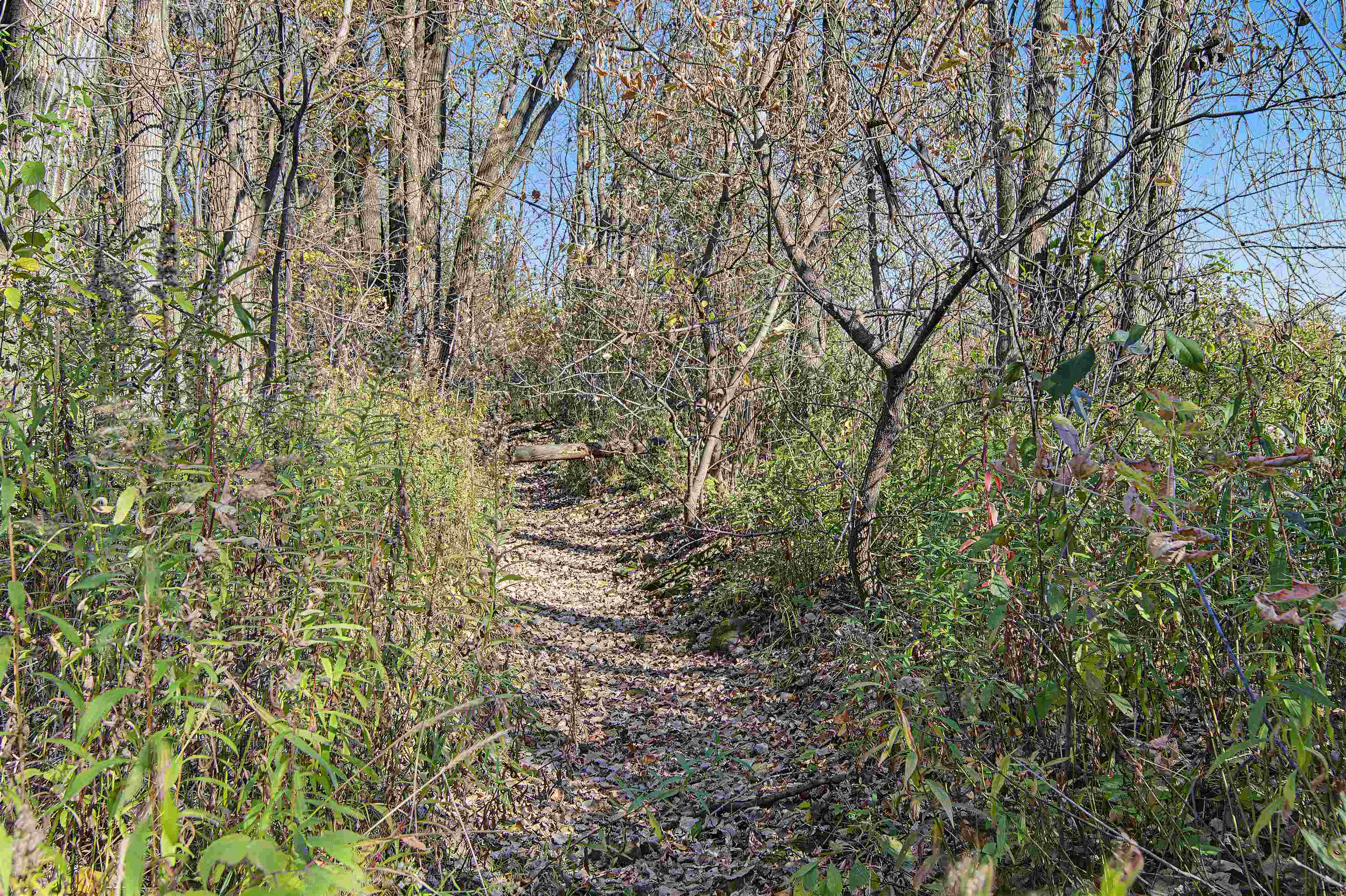 Property photo 59