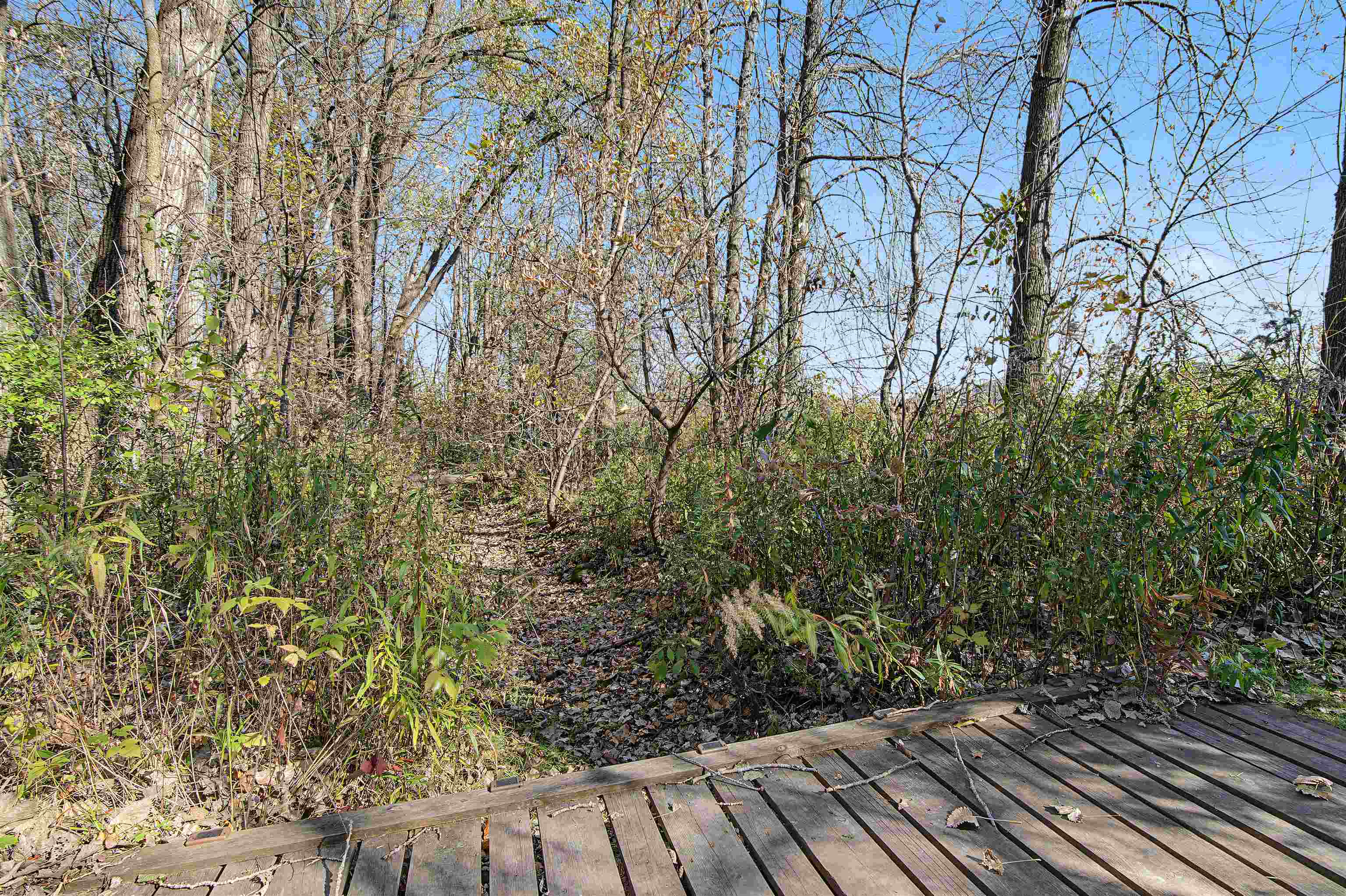 Property photo 60