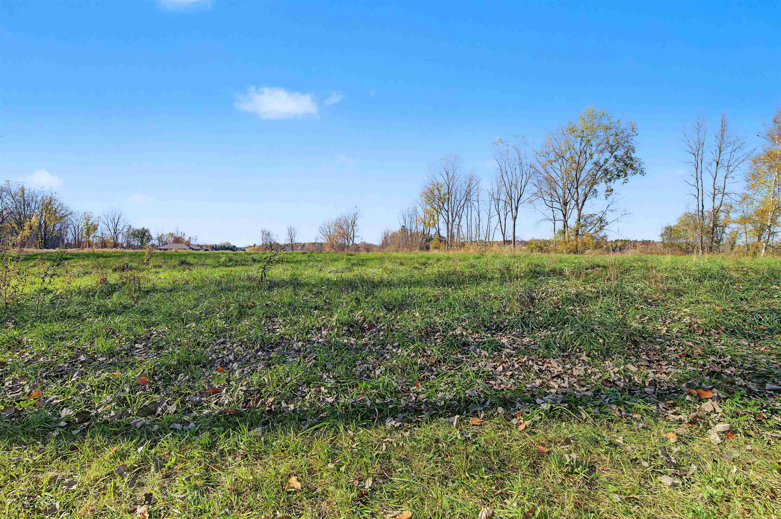 Property photo 61