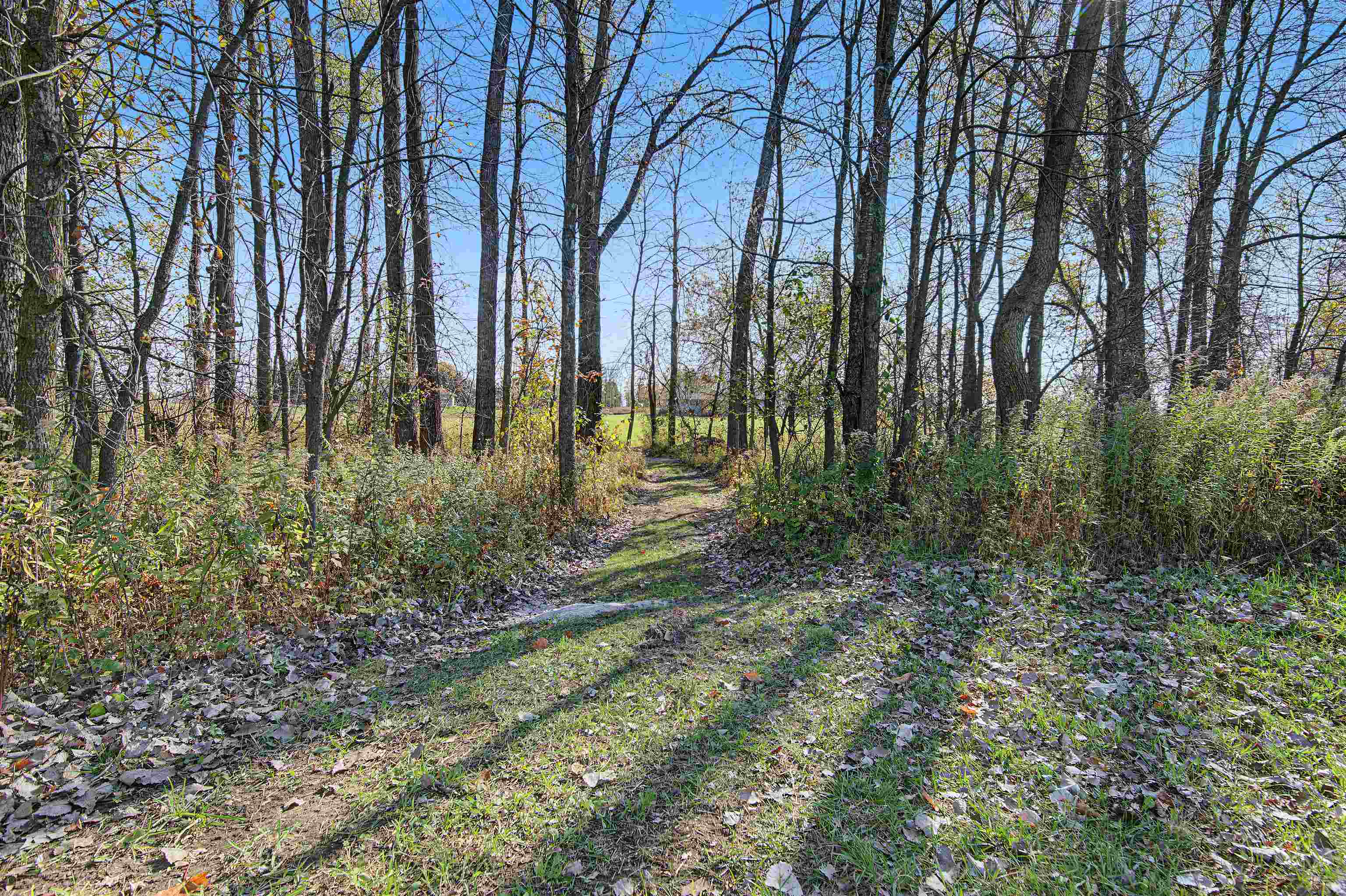 Property photo 64