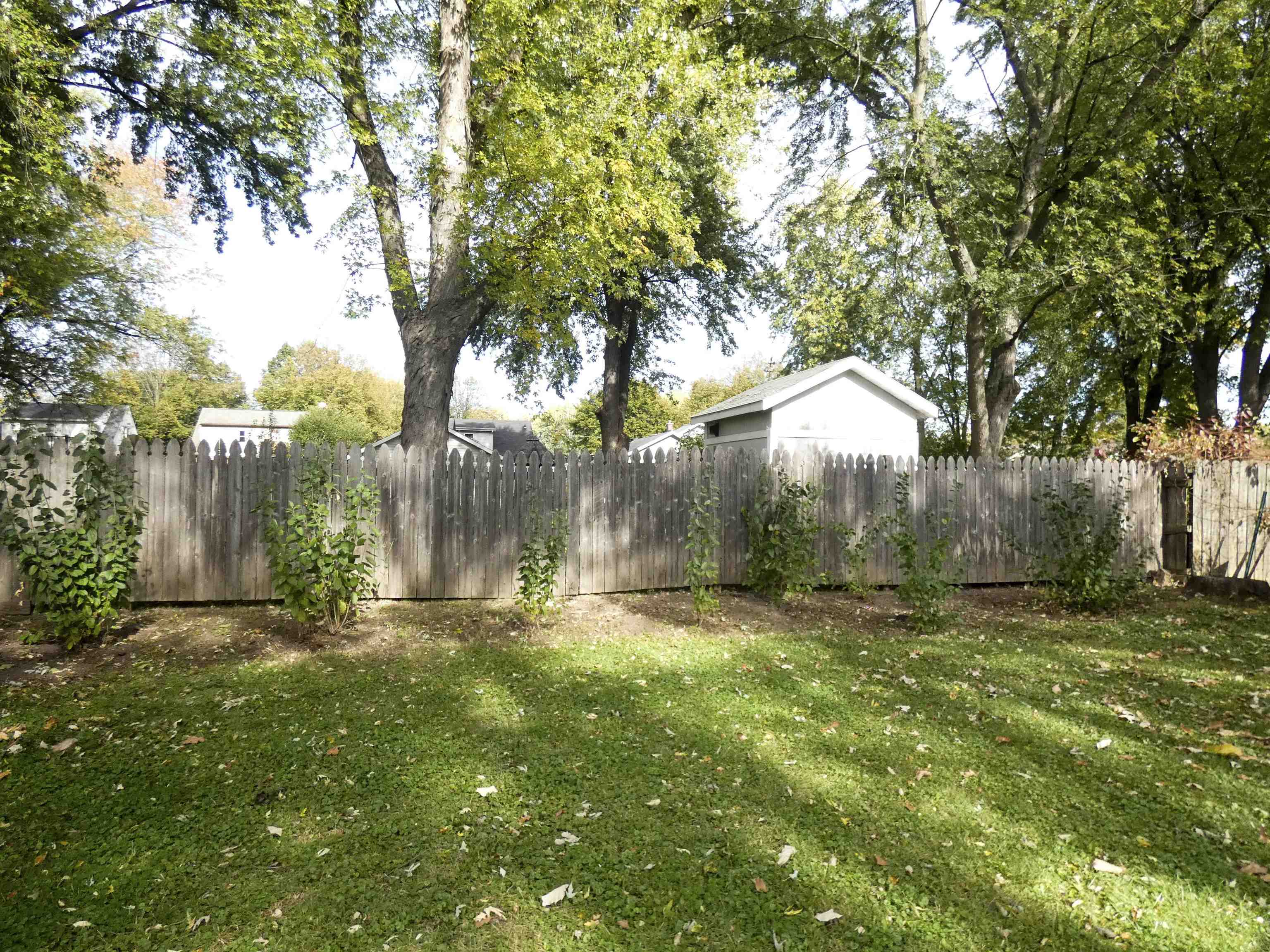 Property photo 40